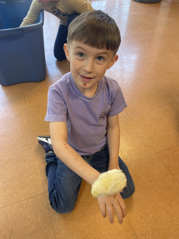 Primary Spring QUEST Rally