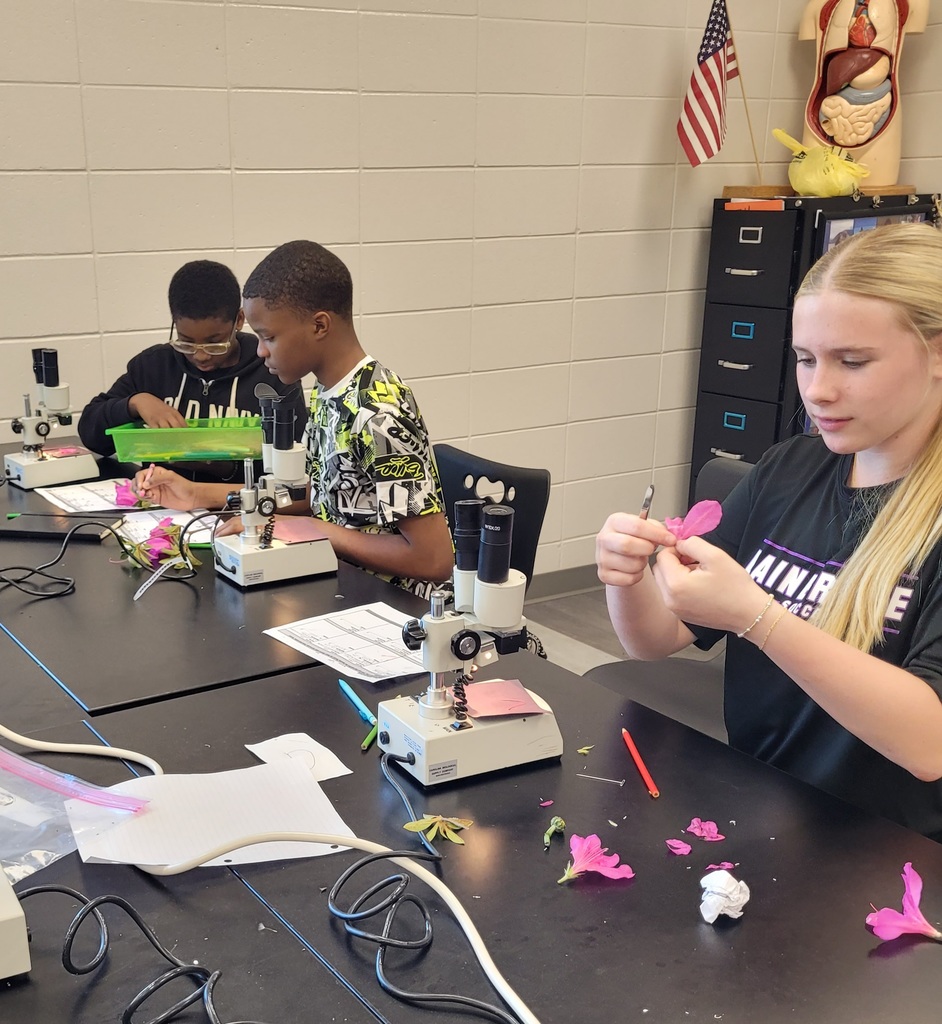 students working with flowers and microscopes