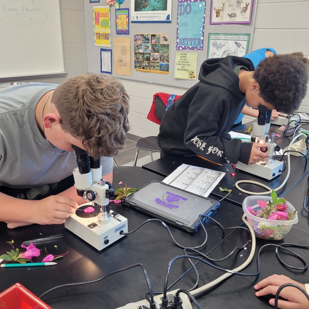 students investigating flower pedals using a microscope