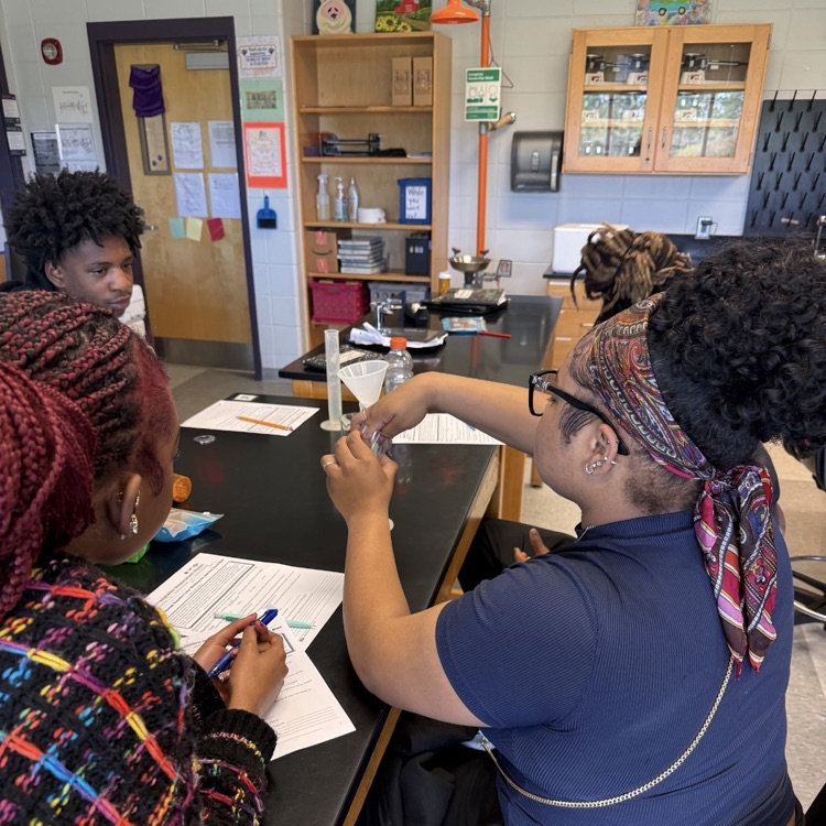 Students in Mrs. McDonald's Environmental Science classes investigated whether land ice or sea ice would have a greater impact when melted.