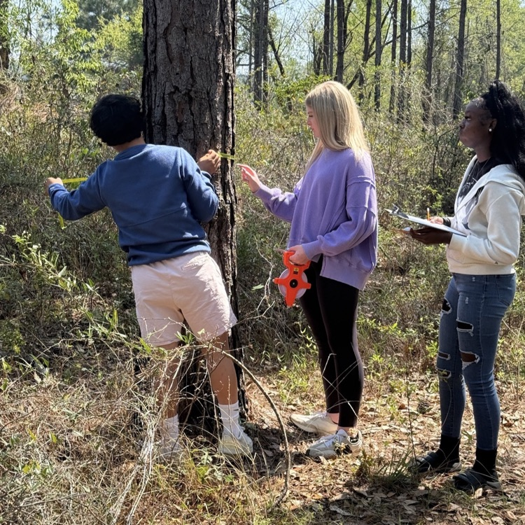  Students in Mrs.McDonald's Environmental Science classes measured several trees on campus to calculate the amount of carbon that each tree contained.