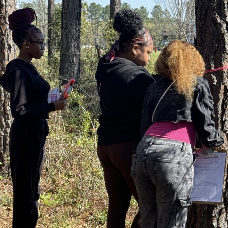  Students in Mrs.McDonald's Environmental Science classes measured several trees on campus to calculate the amount of carbon that each tree contained.