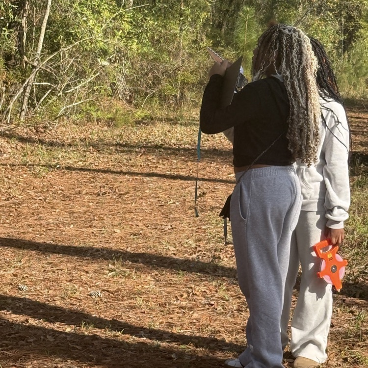  Students in Mrs.McDonald's Environmental Science classes measured several trees on campus to calculate the amount of carbon that each tree contained.