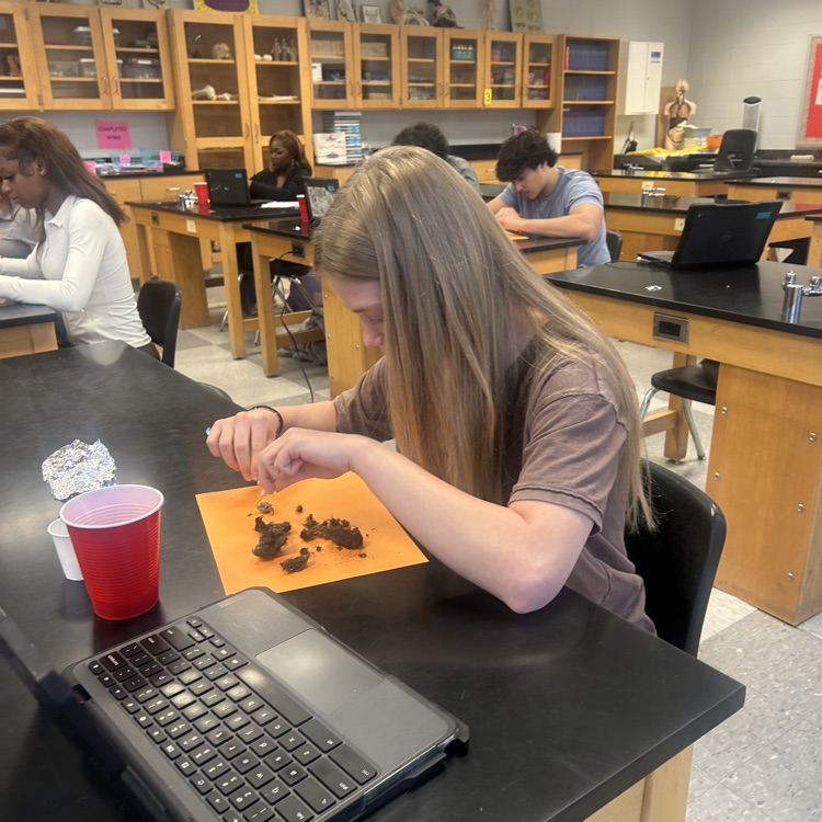 Anatomy students have been very busy lately. 