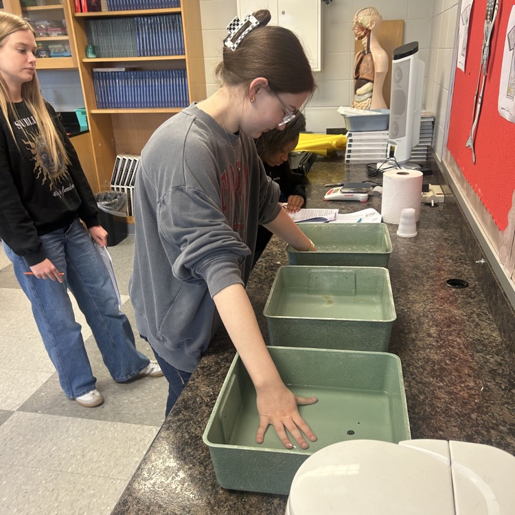 Anatomy students have been very busy lately. 