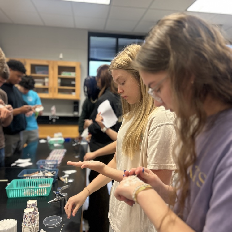 Anatomy students have been very busy lately. 