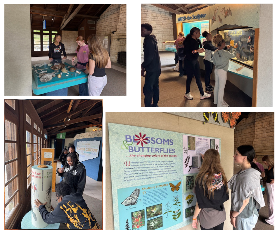 Pod 8.2 exploring the butterfly artifacts. 