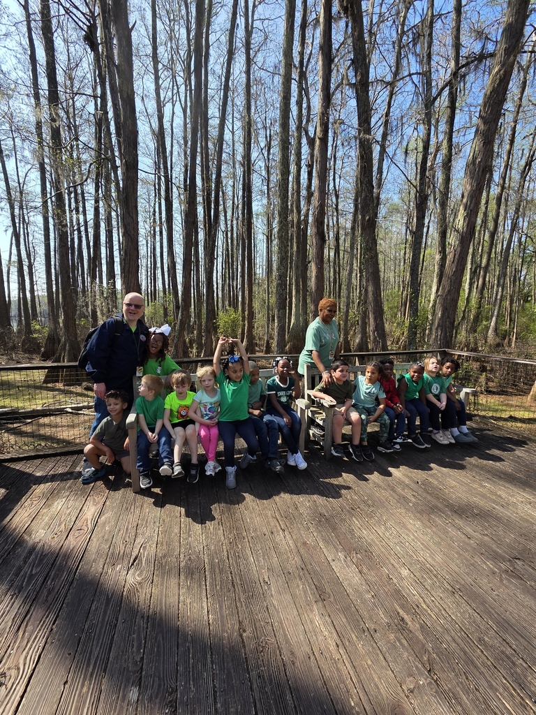 Tallahassee  Museum  Prek field trip