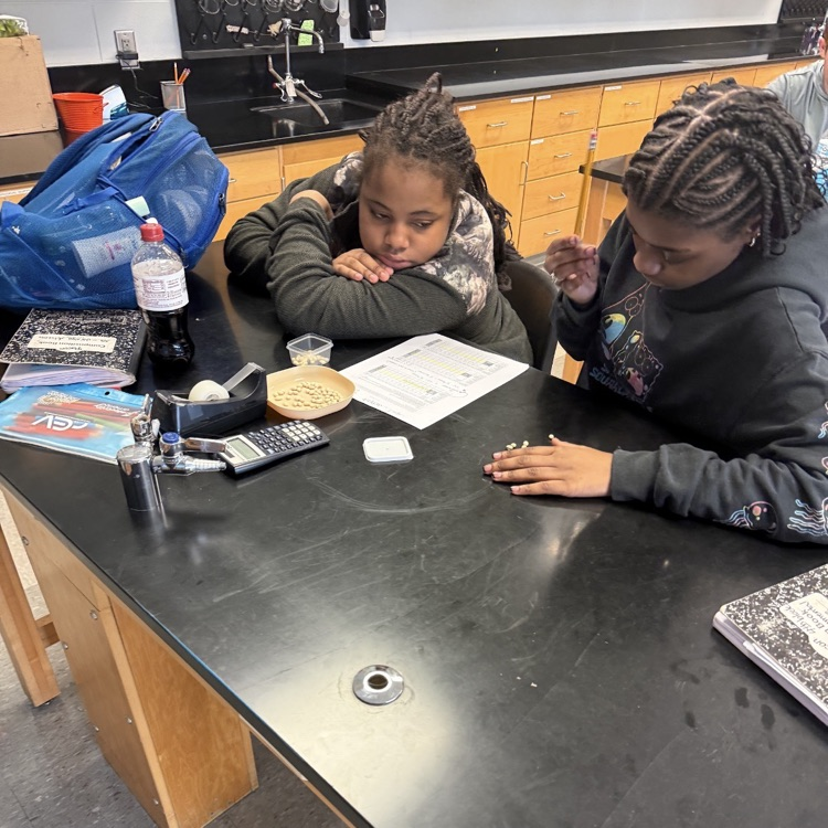 Students in Mrs. McDonald's Environmental Science classes modeled different scenarios to determine the impact that increased energy use would have on global renewable and nonrenewable energy resources.