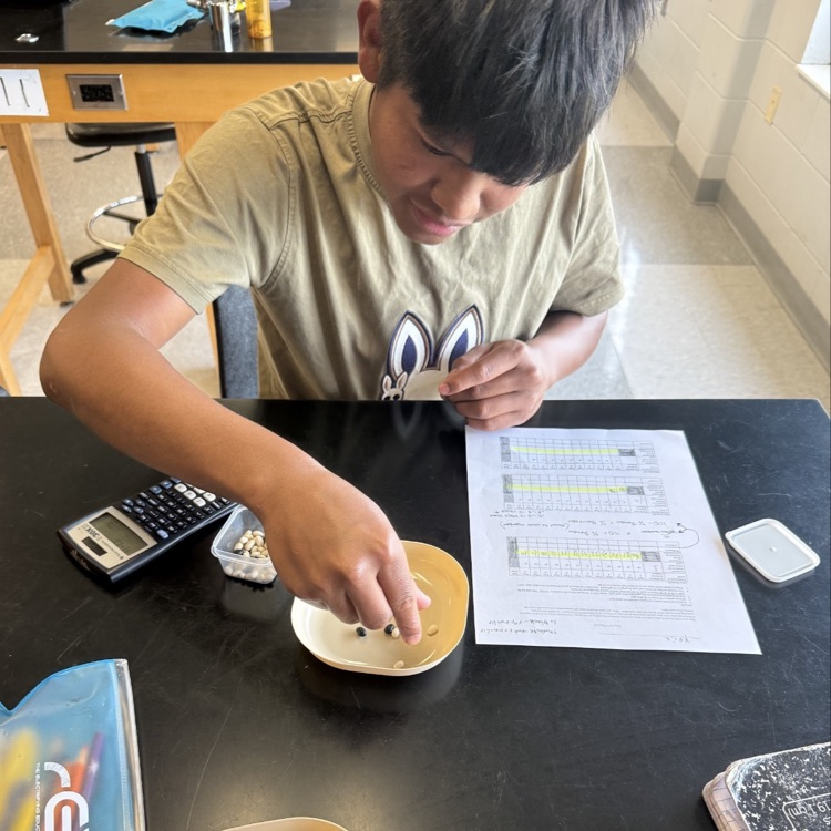 Students in Mrs. McDonald's Environmental Science classes modeled different scenarios to determine the impact that increased energy use would have on global renewable and nonrenewable energy resources.