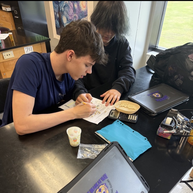 Students in Mrs. McDonald's Environmental Science classes modeled different scenarios to determine the impact that increased energy use would have on global renewable and nonrenewable energy resources.