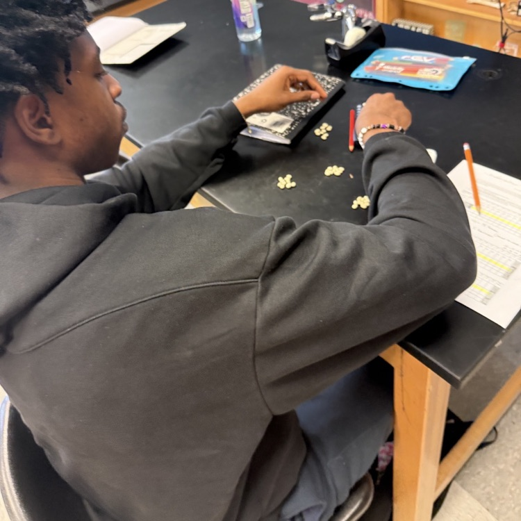 Students in Mrs. McDonald's Environmental Science classes modeled different scenarios to determine the impact that increased energy use would have on global renewable and nonrenewable energy resources.