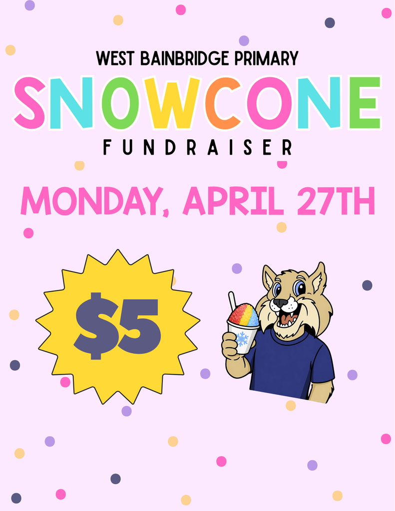 Snowcone fundraiser flyer