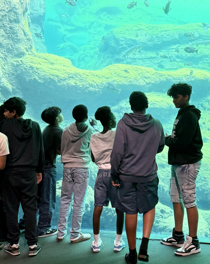 Pod 6.2 dove deep into earth science today at the Flint River Aquarium! 