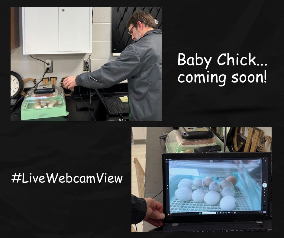 Technition Johnathan helps to set up the webcam to record the incubatation of chickens about to hatch. 