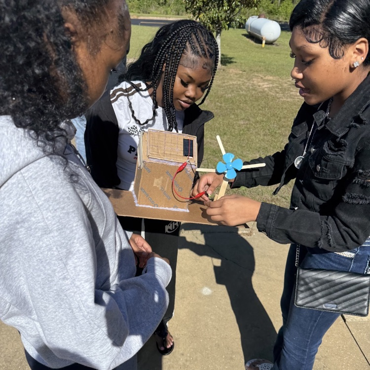 Students in Mrs. McDonald's Environmental Science classes designed, constructed, and tested structures that used wind and solar energy to power LED bulbs.