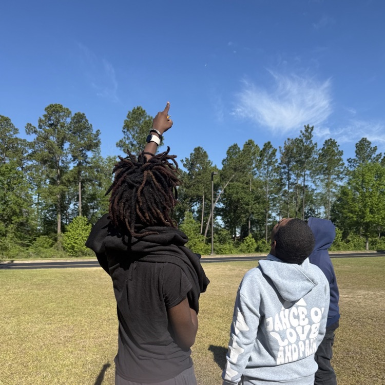 Students in Mrs. McDonald's Environmental Science and Mrs. Sielbel's classes used bubbles to model different population survivorship curves.