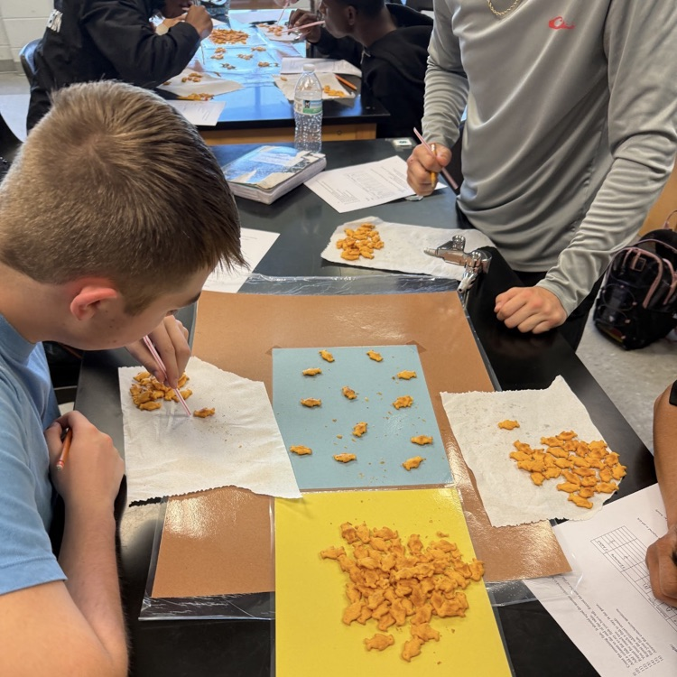 Mrs. McDonald's Environmental Science classes modeled the concept of 'tragedy of the commons" using crackers to illustrate what happens when common areas aren't protected by everyone.