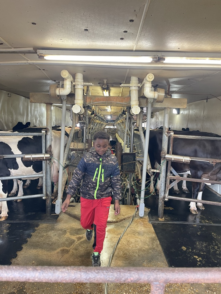 dairy farm tour 