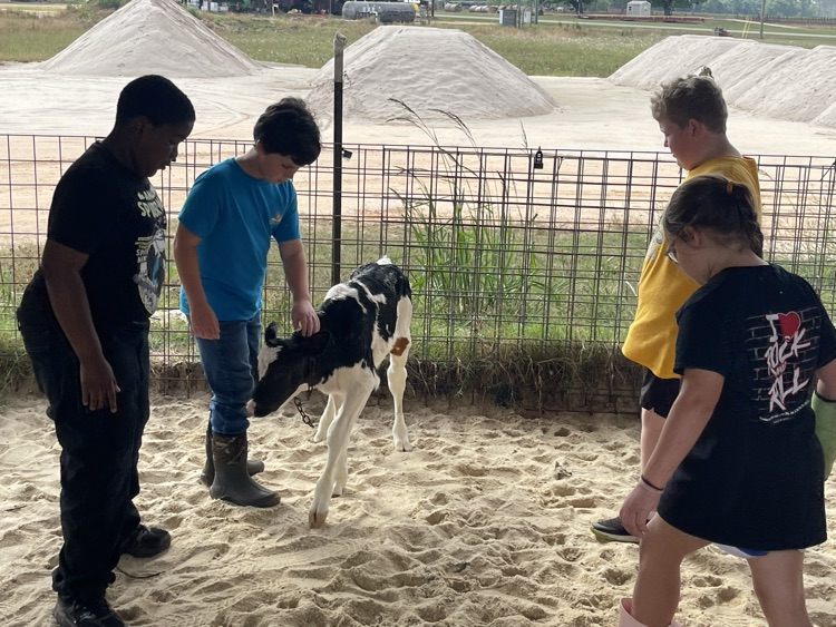 dairy farm tour 