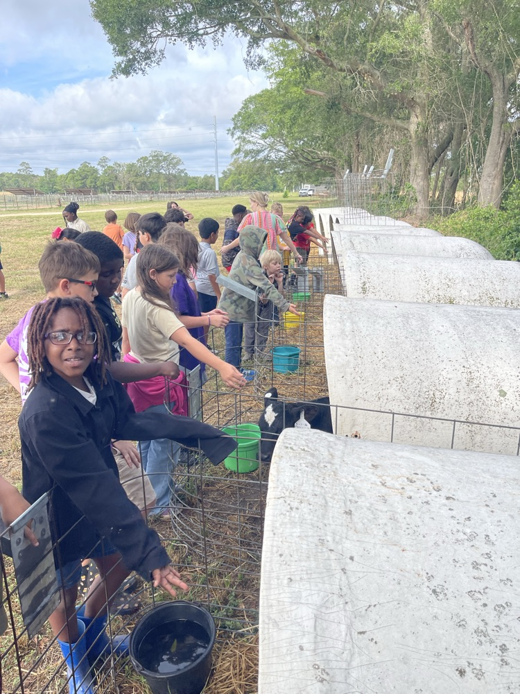 dairy farm tour 