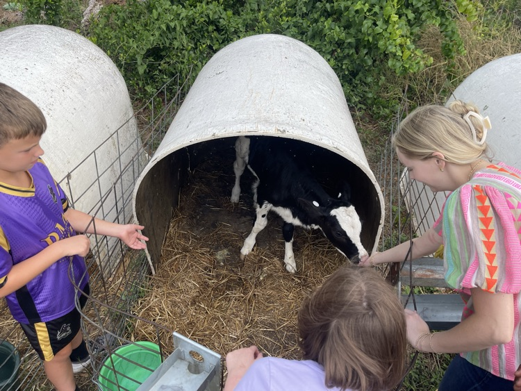 dairy farm tour 