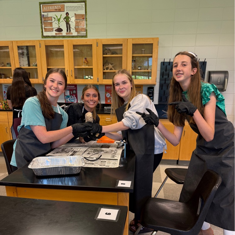 Today in lab, honors Biology students dissected fetal pigs to explore how organs work and see anatomy up close. From hearts to lungs, it’s all about connecting textbook learning to real life!