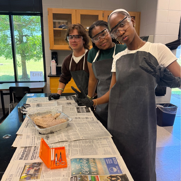 Today in lab, honors Biology students dissected fetal pigs to explore how organs work and see anatomy up close. From hearts to lungs, it’s all about connecting textbook learning to real life!