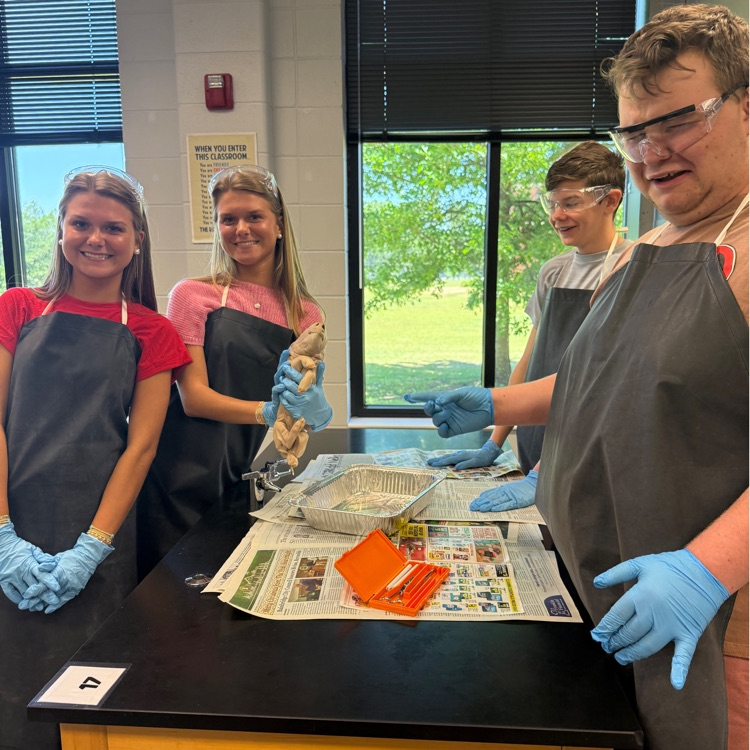 Today in lab, honors Biology students dissected fetal pigs to explore how organs work and see anatomy up close. From hearts to lungs, it’s all about connecting textbook learning to real life!