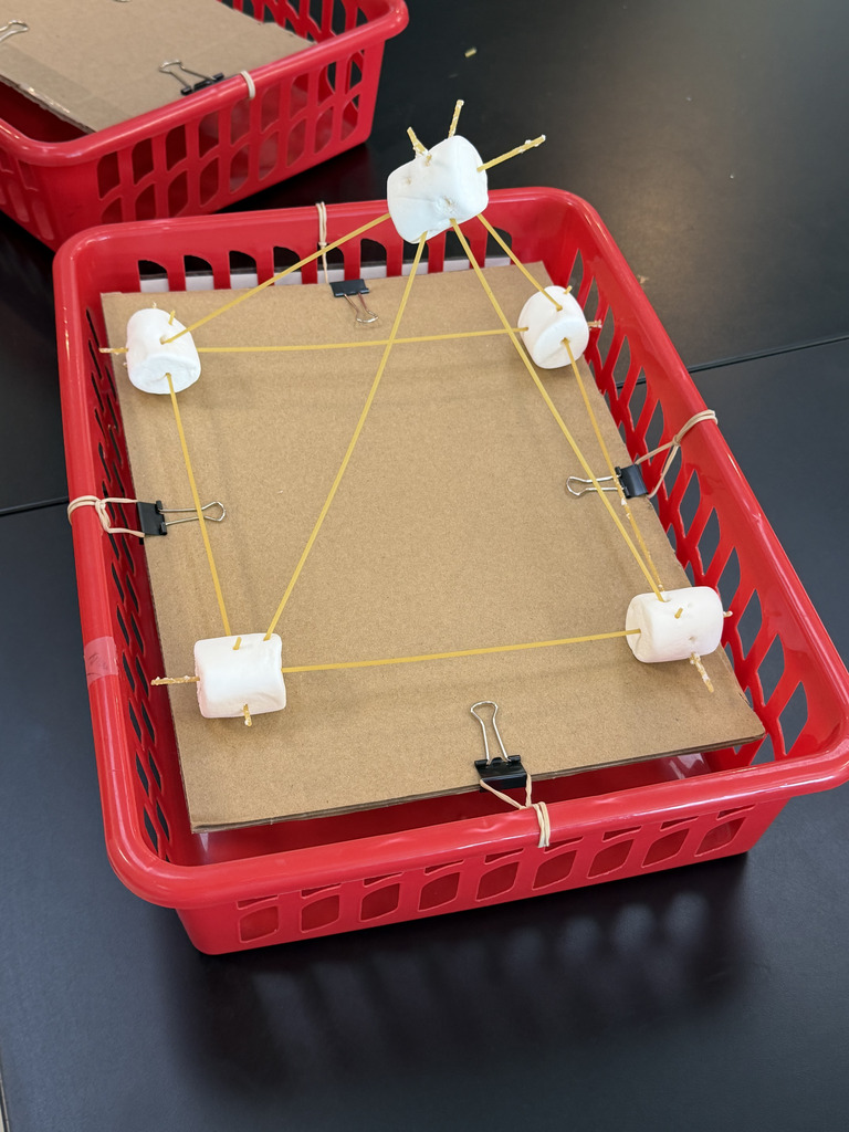 Student in Mr. Perry's Science class project.
