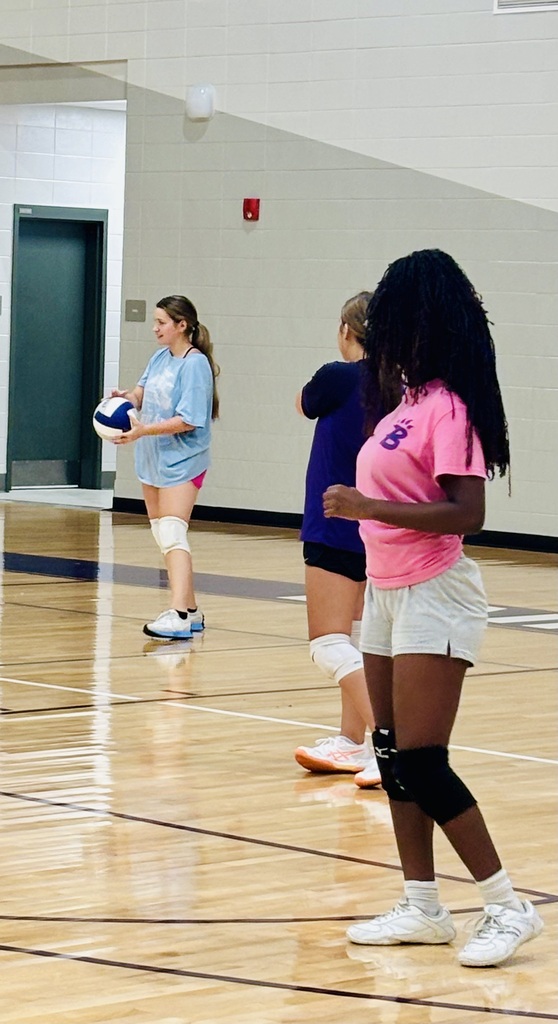 BHS Volleyball