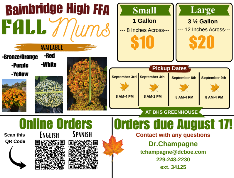 BHS FFA Fall Mums Sale