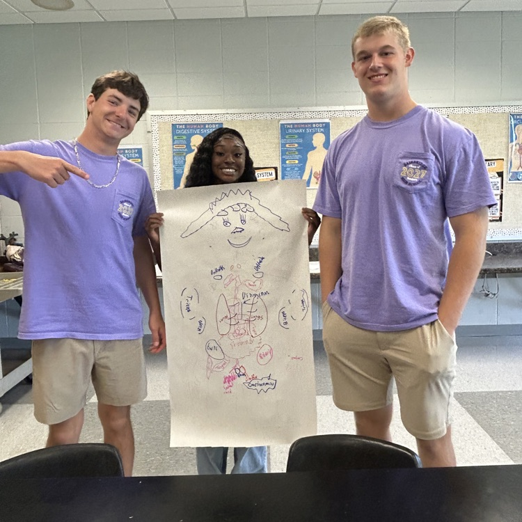 Anatomy students start off the year with a human body challenge!