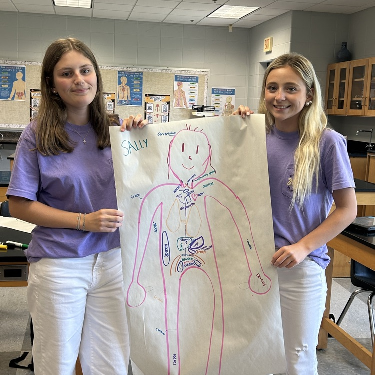 Anatomy students start off the year with a human body challenge!