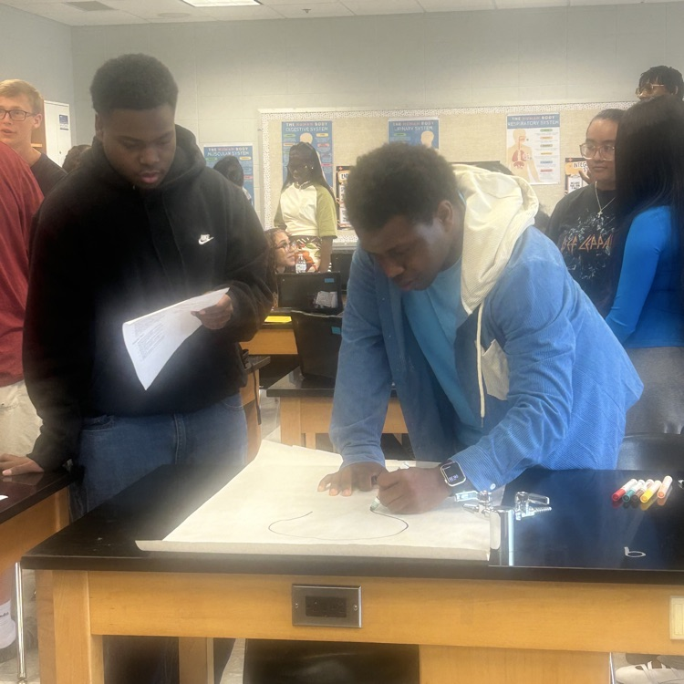 Anatomy students start off the year with a human body challenge!