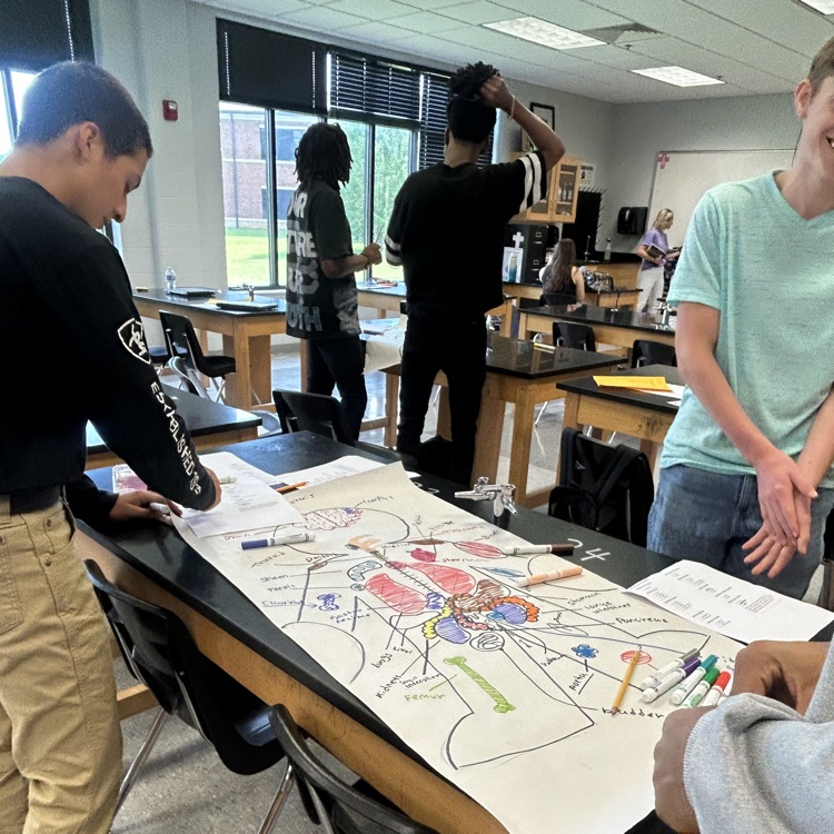 Anatomy students start off the year with a human body challenge!