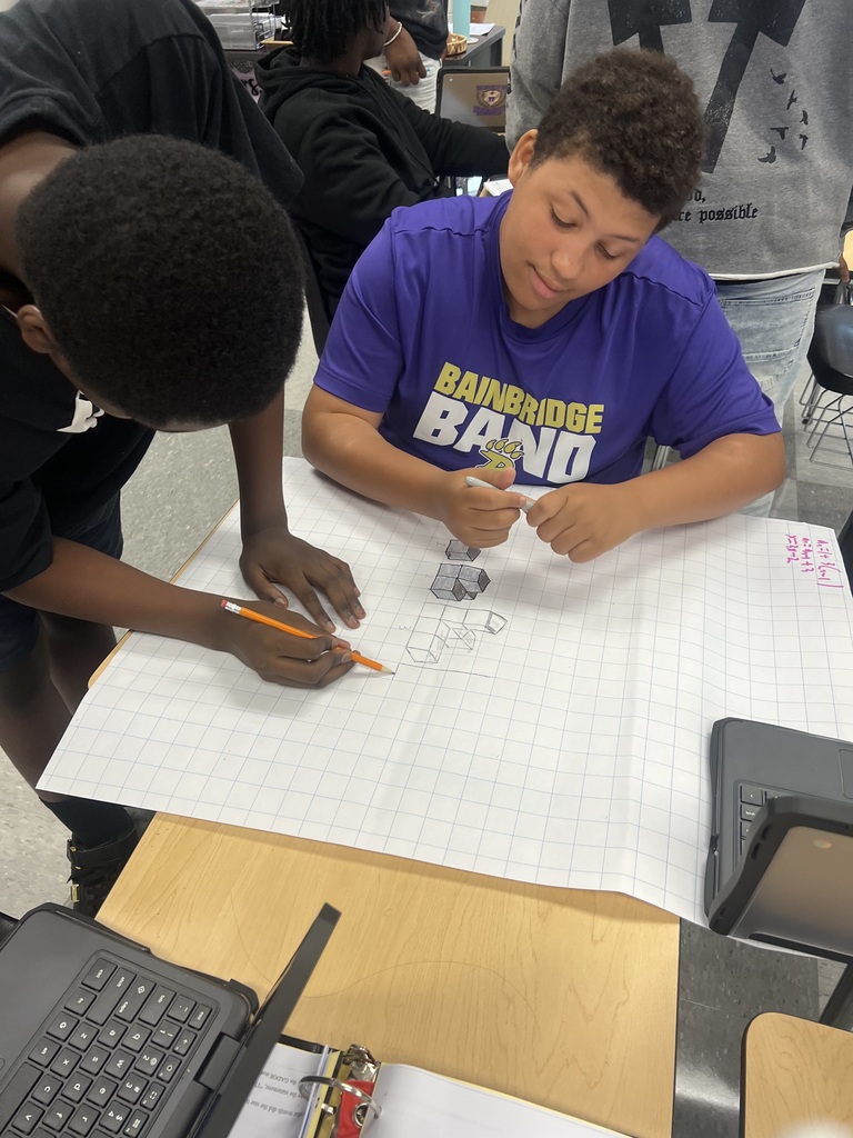 Mrs. Hartzog's Algebra Class