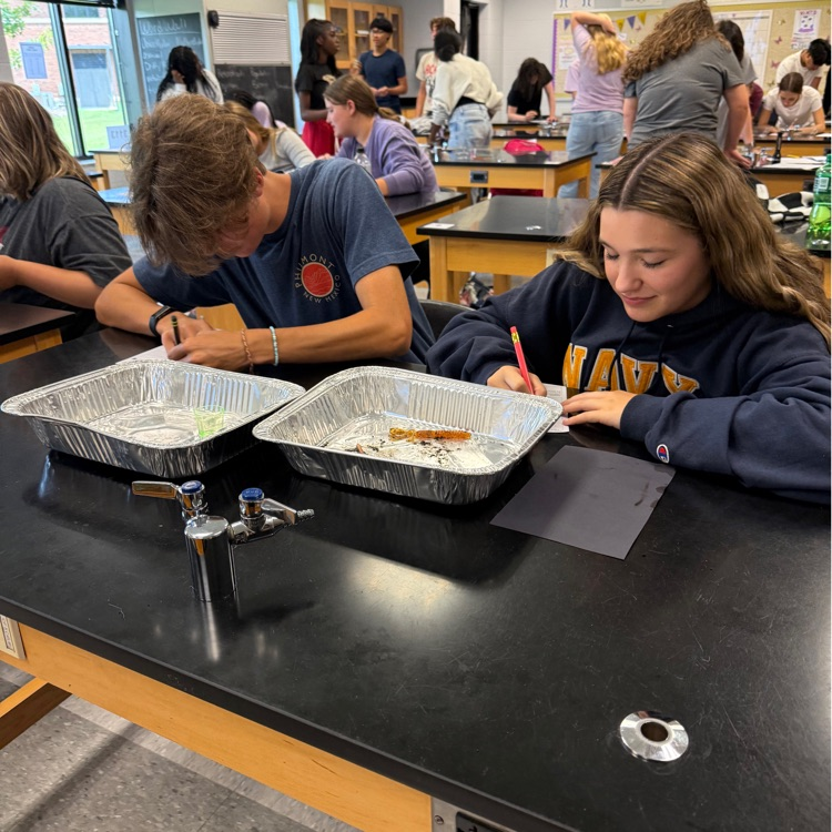 Biology students got hands-on experience exploring the characteristics of life! Students used both a model and a live worm to observe, identify, and connect the characteristics that all living organisms share.