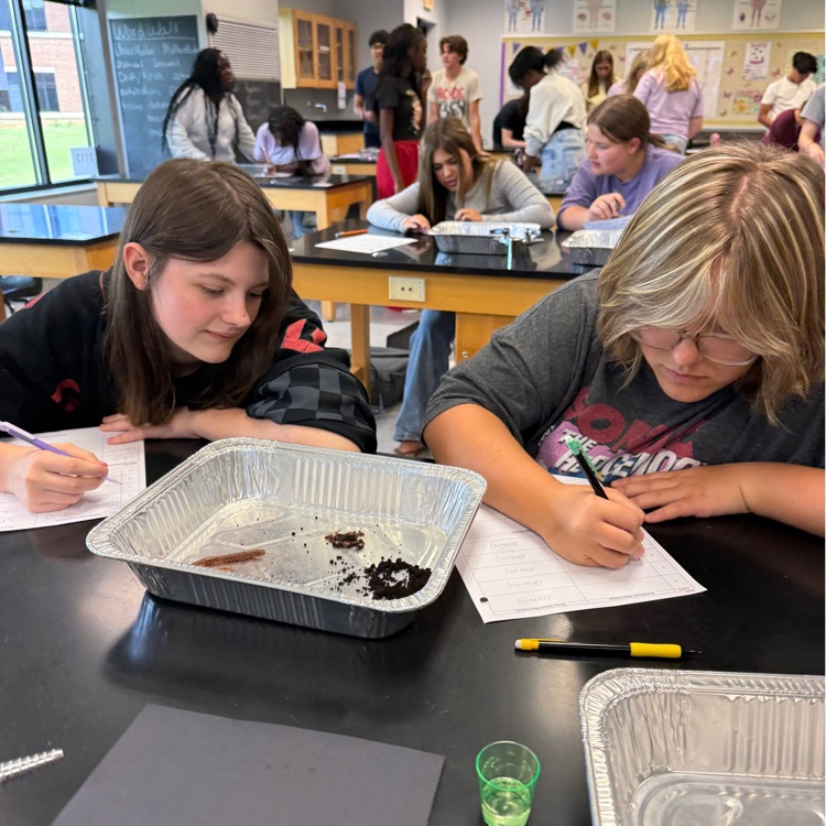 Biology students got hands-on experience exploring the characteristics of life! Students used both a model and a live worm to observe, identify, and connect the characteristics that all living organisms share.