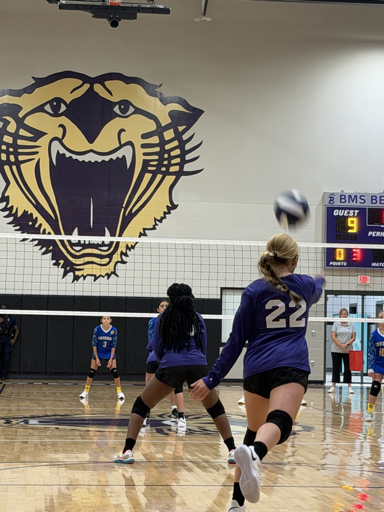 volley