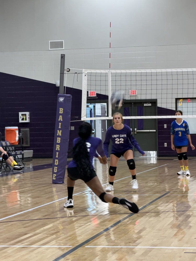 volley