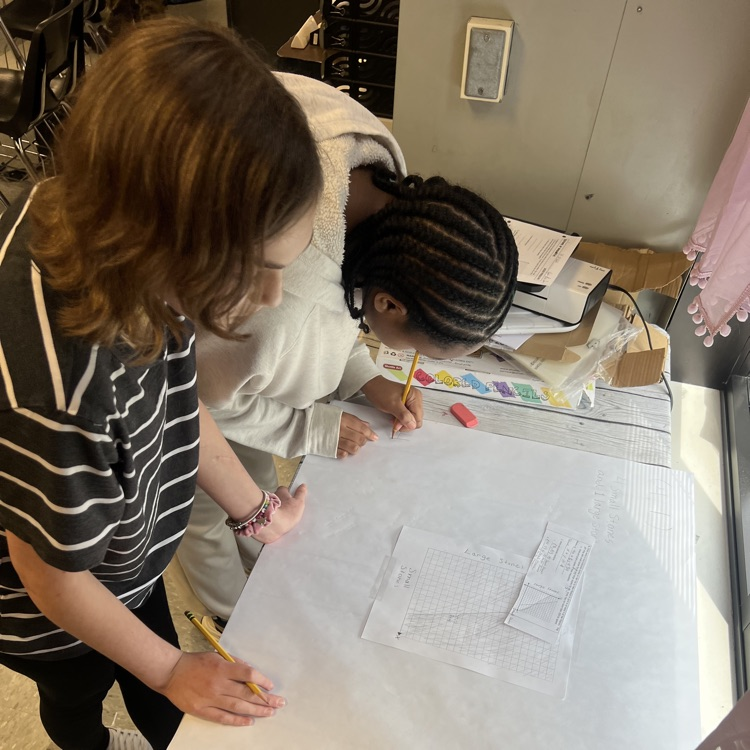 Algebra students put their systems of linear equations to work today.