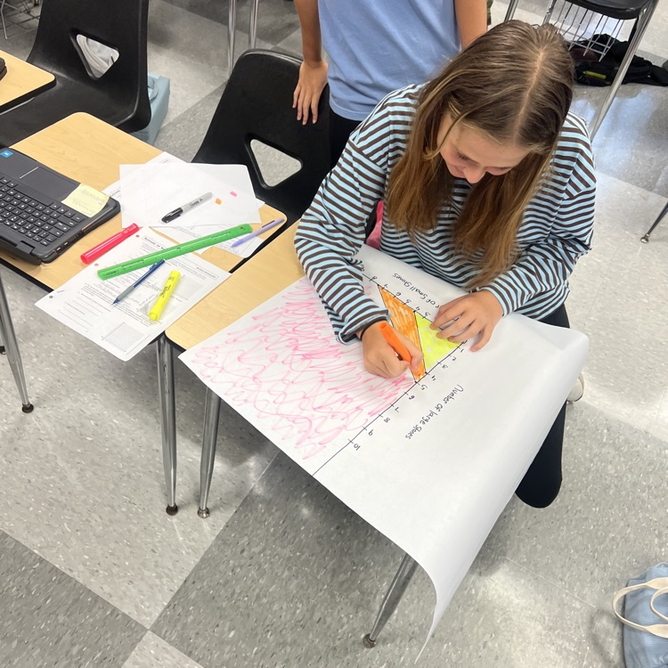 Algebra students put their systems of linear equations to work today.