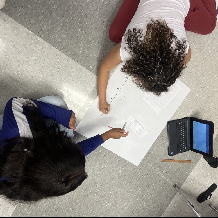 Algebra students put their systems of linear equations to work today.