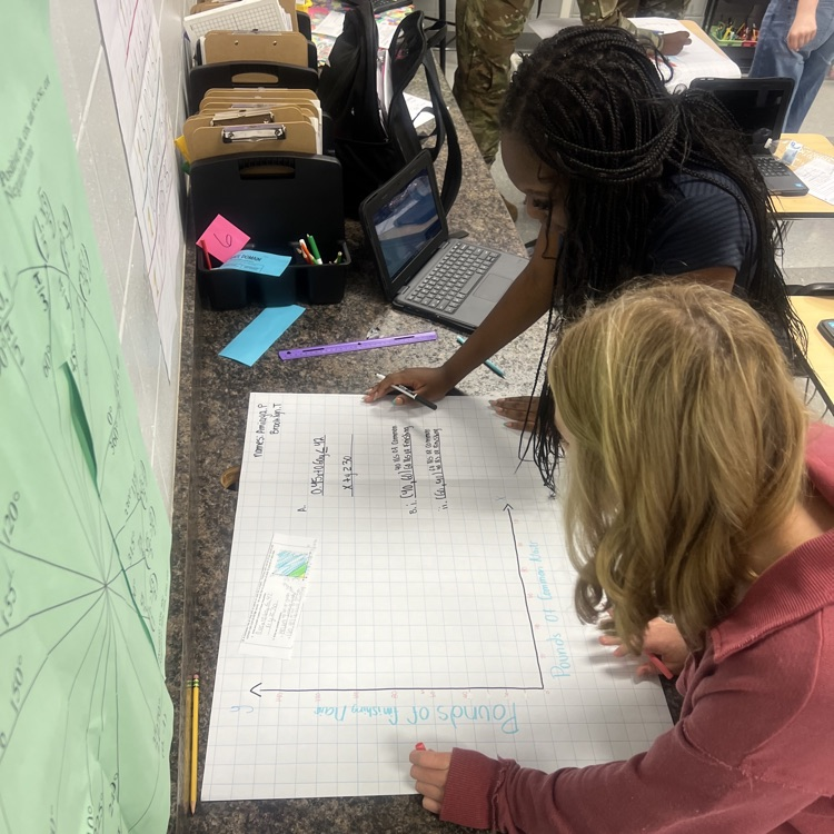 Algebra students put their systems of linear equations to work today.