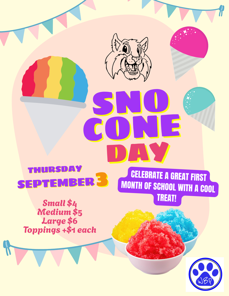 Snow Cone Flyer