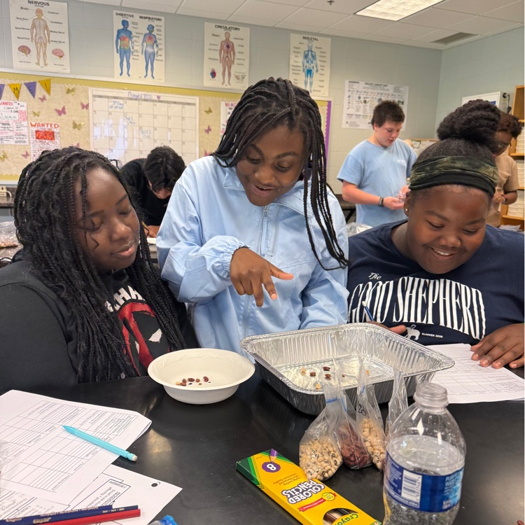 Our Biology students put natural selection into action with a hands-on survival of the fittest lab! Students modeled how environmental pressures can impact which organisms survive and reproduce over generations.