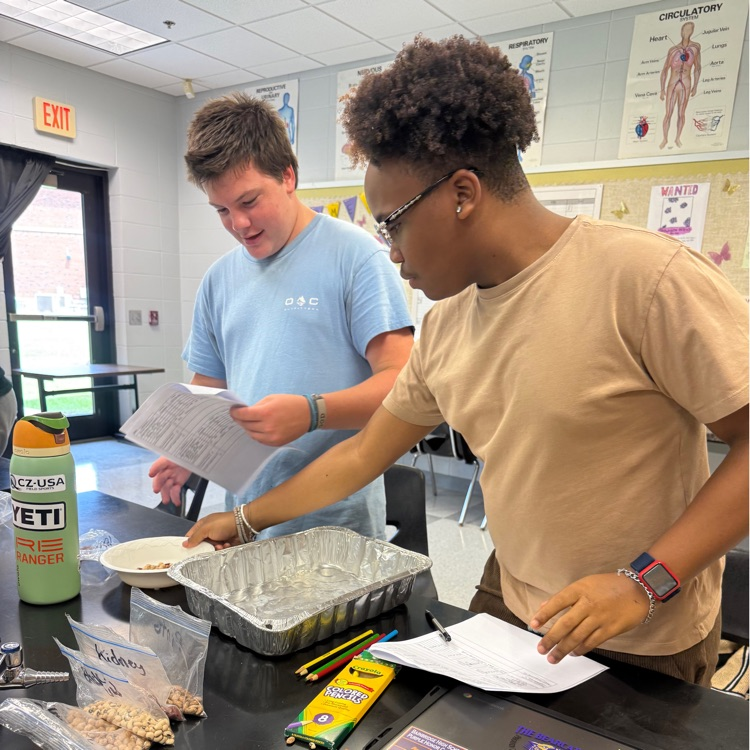 Our Biology students put natural selection into action with a hands-on survival of the fittest lab! Students modeled how environmental pressures can impact which organisms survive and reproduce over generations.