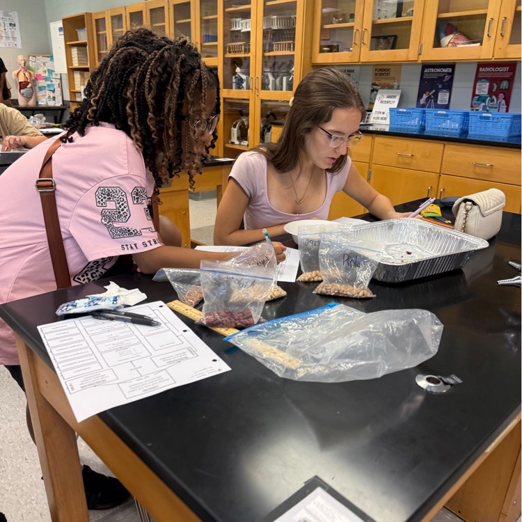 Our Biology students put natural selection into action with a hands-on survival of the fittest lab! Students modeled how environmental pressures can impact which organisms survive and reproduce over generations.