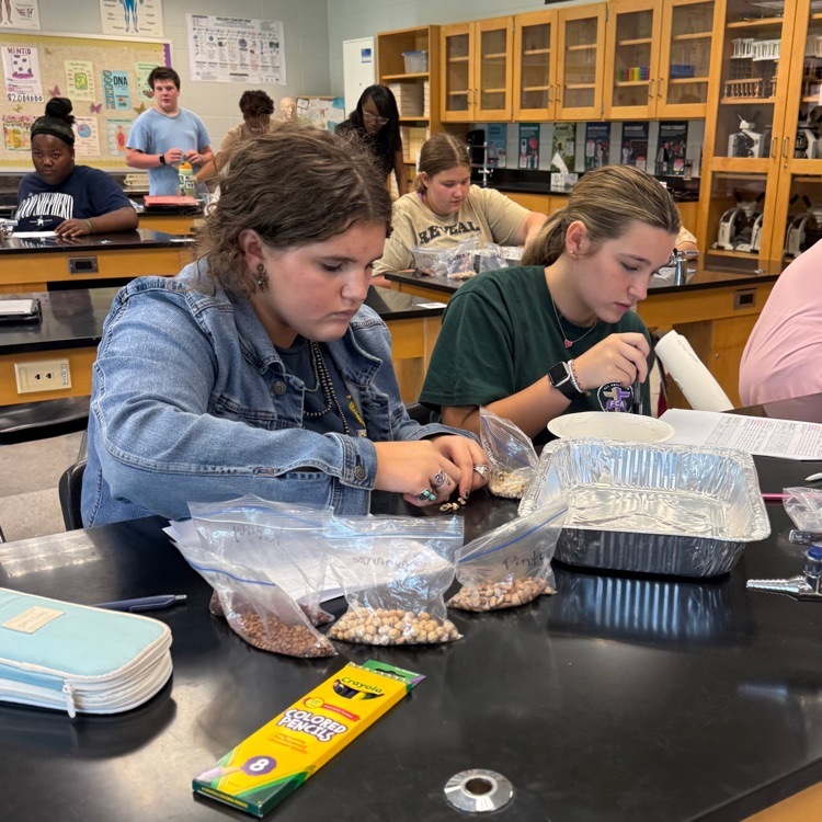 Our Biology students put natural selection into action with a hands-on survival of the fittest lab! Students modeled how environmental pressures can impact which organisms survive and reproduce over generations.